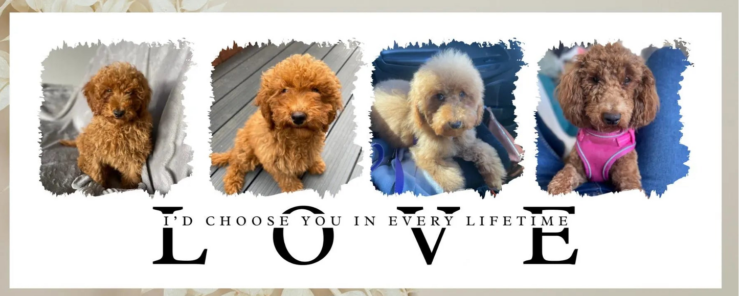 I'd Chose You In Every Life Time - Photo Mug