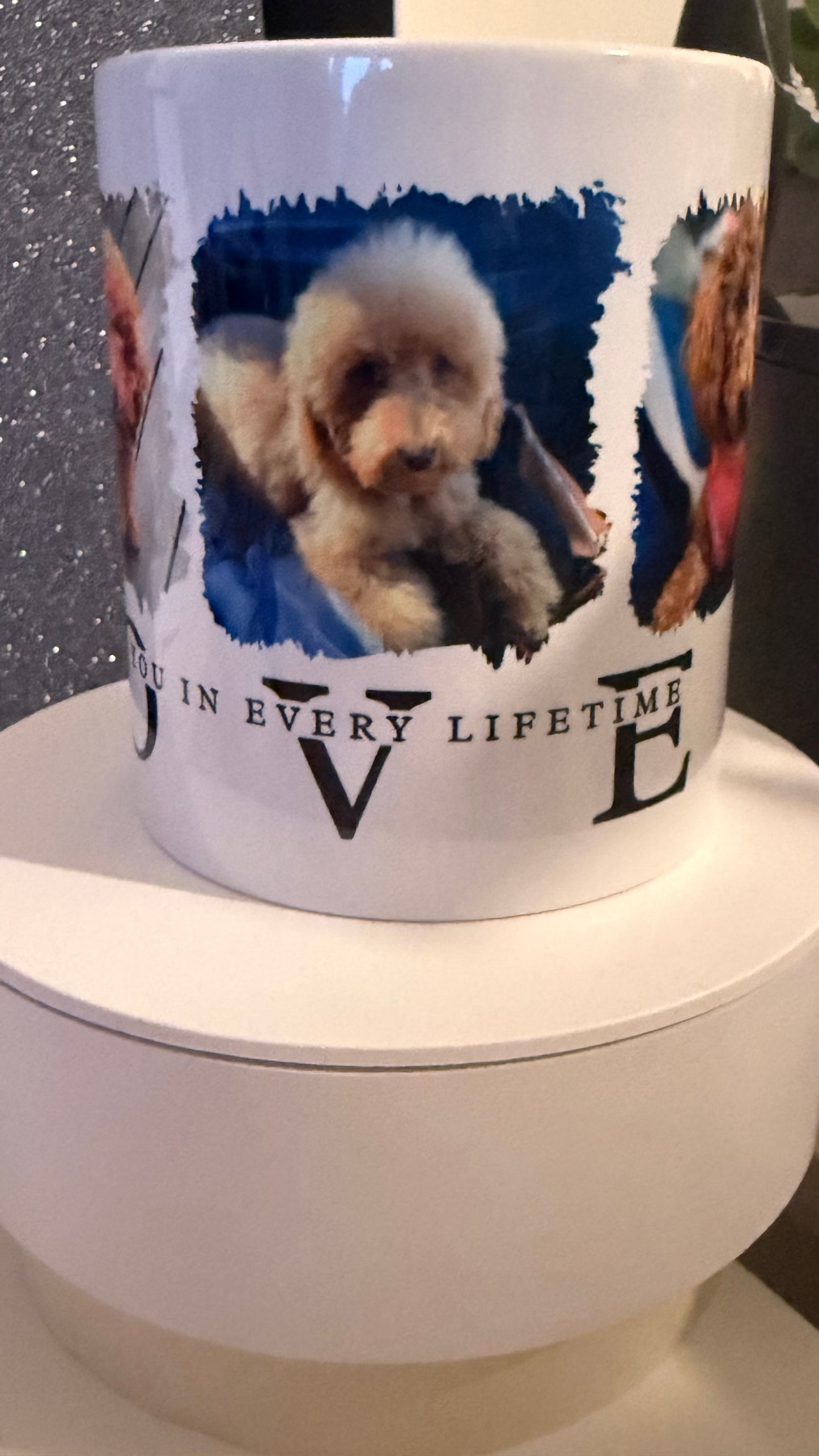 I'd Chose You In Every Life Time - Photo Mug