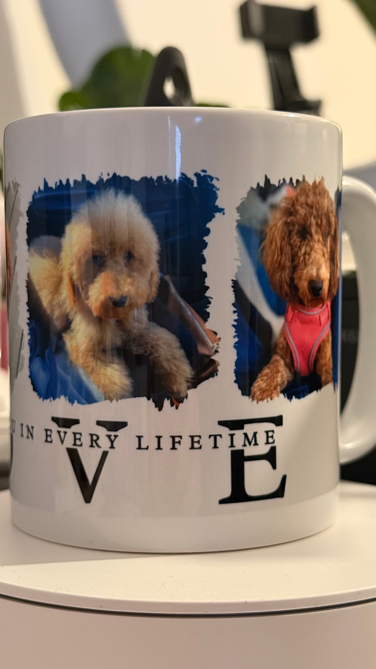 I'd Chose You In Every Life Time - Photo Mug